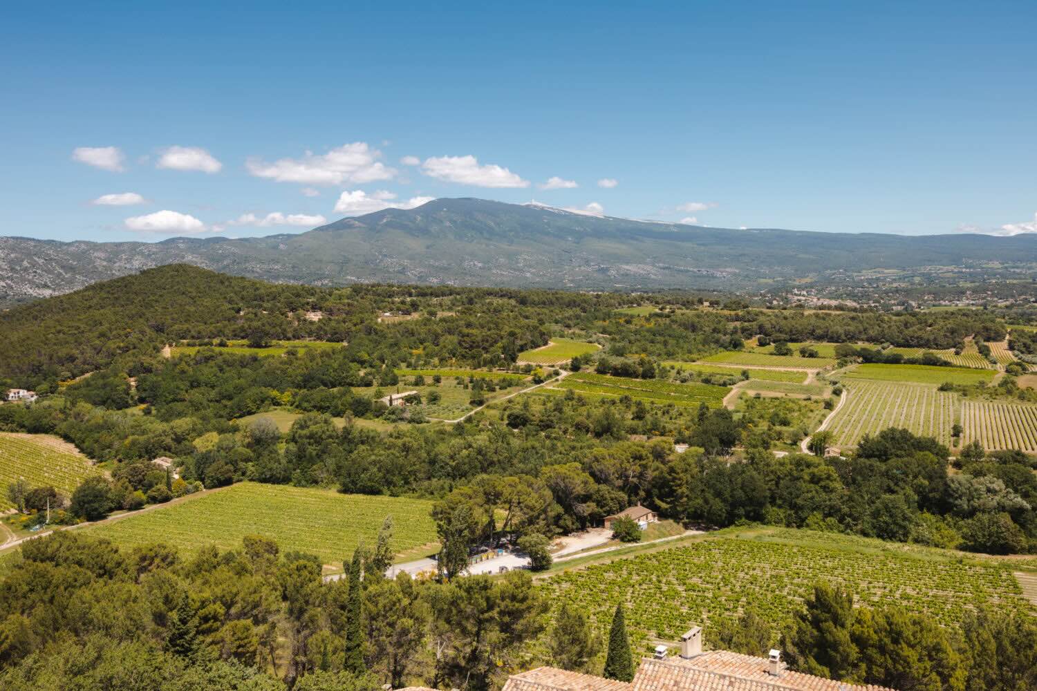 Vue Mont Ventoux hotel Provence