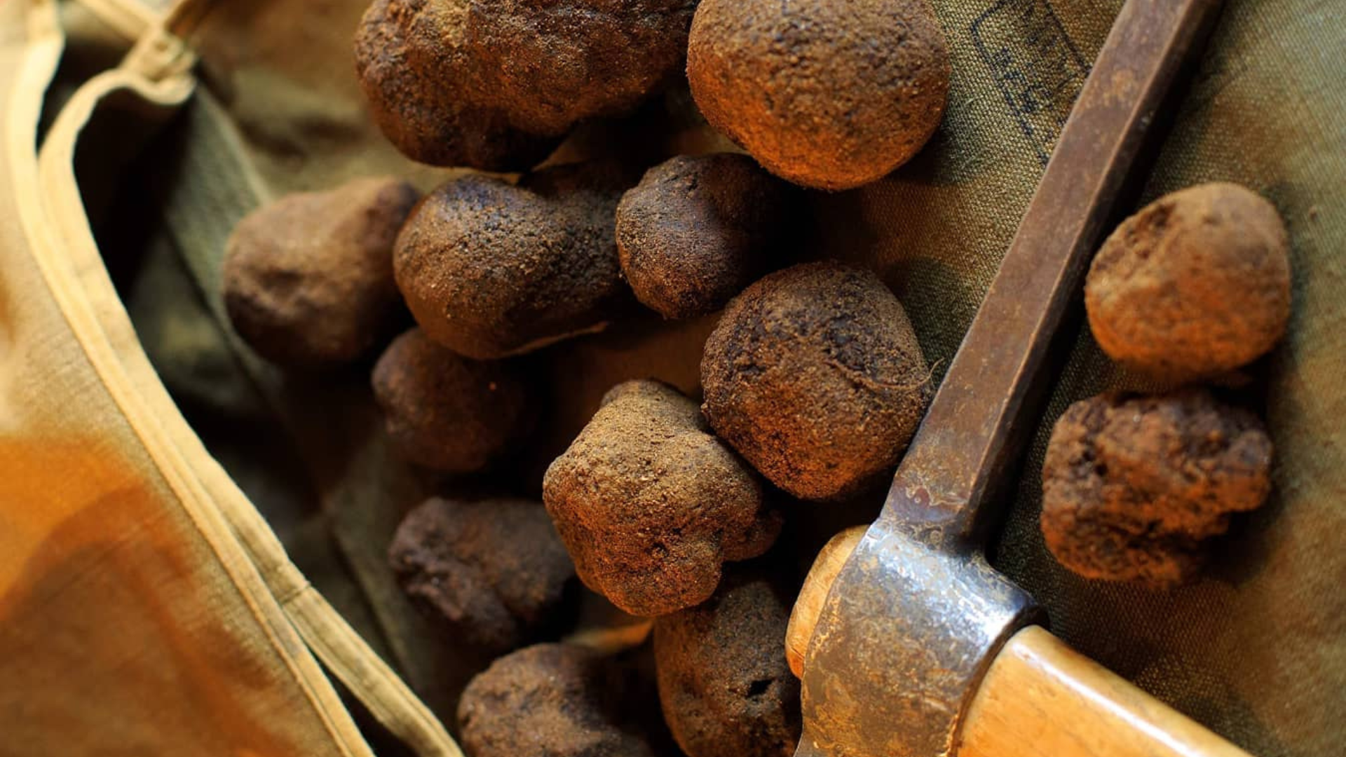 Week-end truffe Crillon le Brave